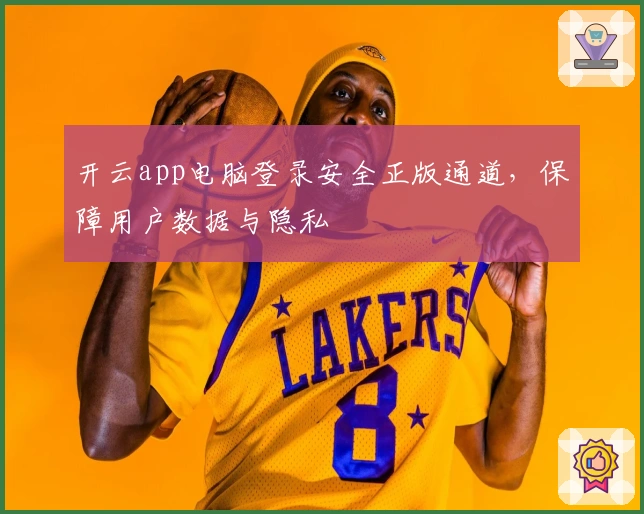 开云app电脑登录安全正版通道，保障用户数据与隐私