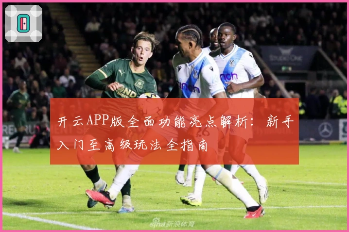 开云APP版全面功能亮点解析:新手入门至高级玩法全指南