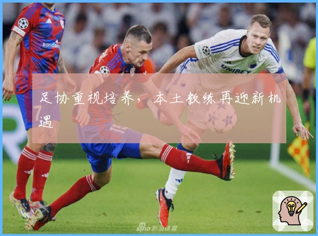 足协重视培养，本土教练再迎新机遇