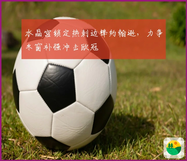 水晶宫锁定热刺边锋约翰逊，力争冬窗补强冲击欧冠